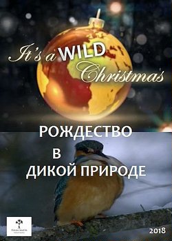 Рождество в дикой природе / Its a wild Christmas