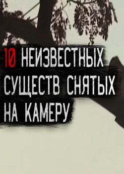 10 загадочных существ 2020 года